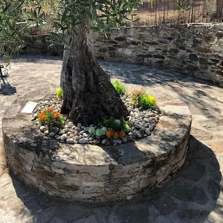 Quinta Da Vela