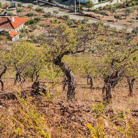 Quinta Da Vela