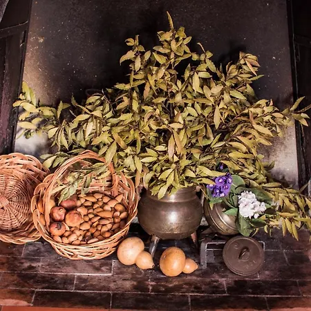 度假居 Quinta Da Vela Meirinhos